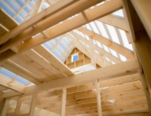 Nachhaltig bauen und leben mit Holz